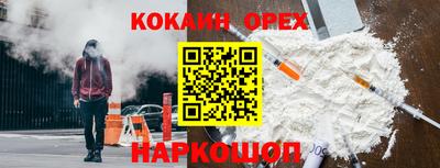 гидропоника Будённовск
