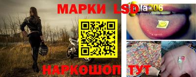 гидропоника Будённовск