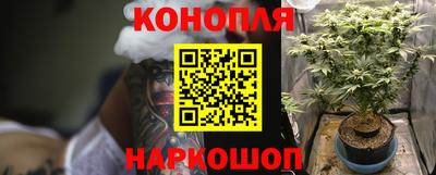 гидропоника Будённовск