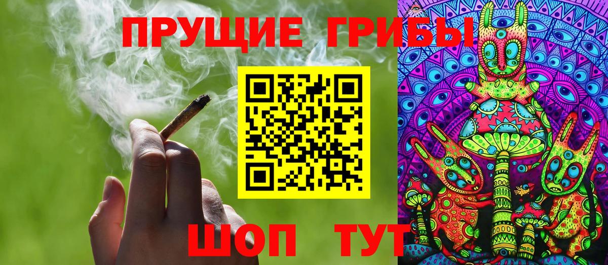 Галлюциногенные грибы прущие грибы Малгобек