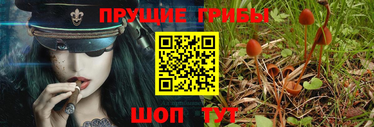 Галлюциногенные грибы прущие грибы  Вход с VPN  Малгобек 